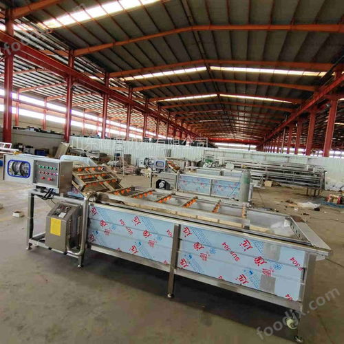 凈菜加工廠氣泡洗菜機